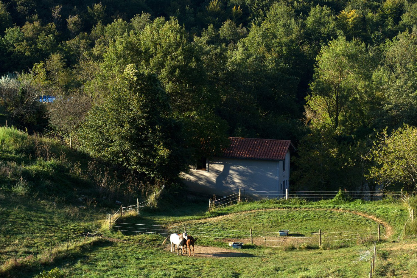 vente Maison Chalabre - Photo 12