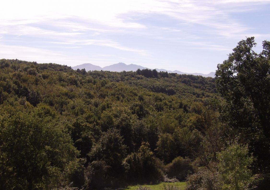 vente Maison Chalabre