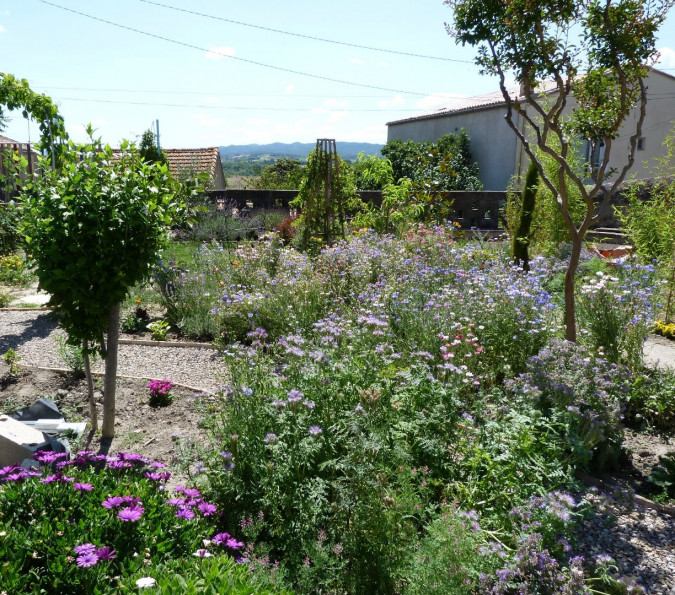 vente Maison de village Carcassonne - Photo 4