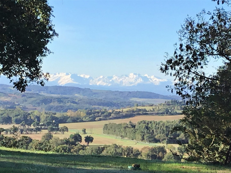 vente Domaine Generville - Photo 4