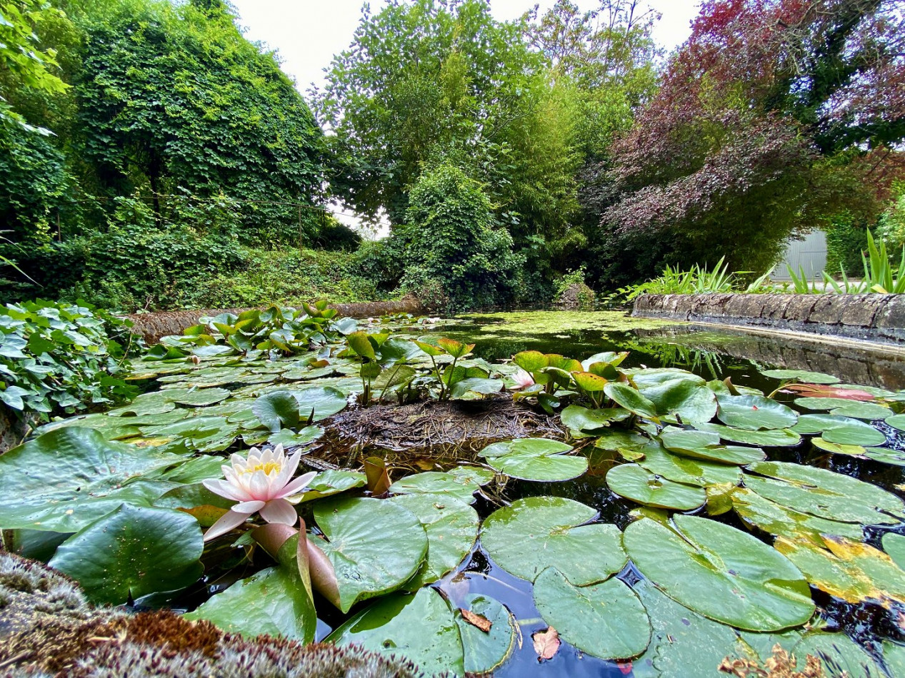sale Propriété Carcassonne - Photo 15