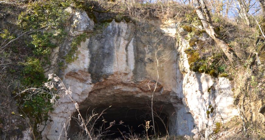 vente Propriété Damiatte