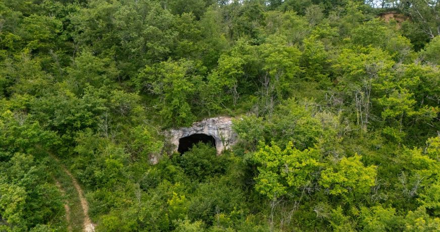 vente Propriété Damiatte