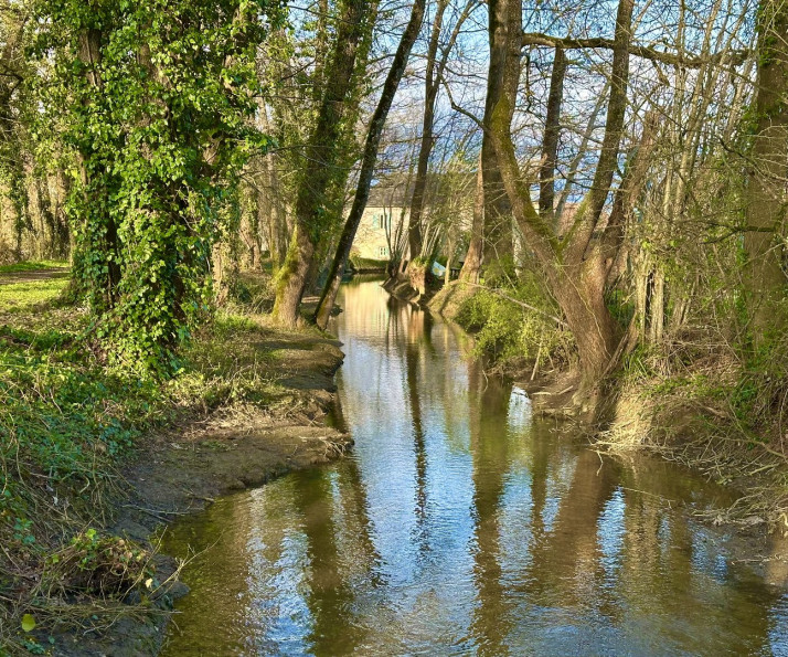 vente Moulin Les Quatre Routes - Photo 8