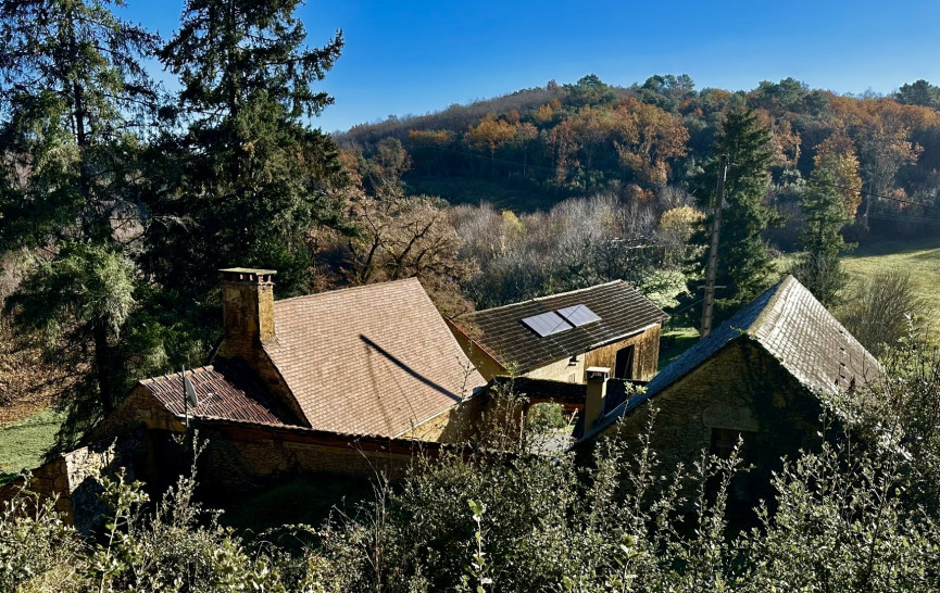 vente Ferme Prats De Carlux - Photo 8