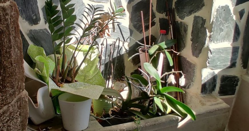 vente Maison Allassac