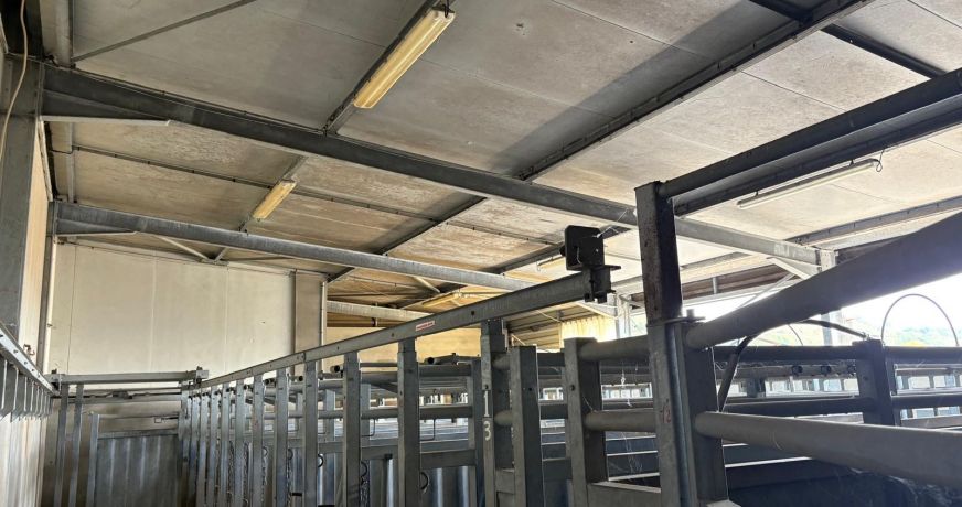 vente Agence Carmaux