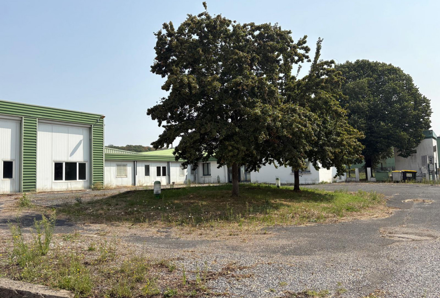 vente Agence Carmaux - Photo 1