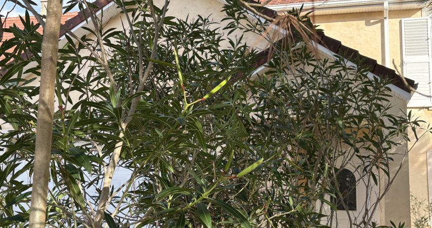 vente Maison Brive La Gaillarde