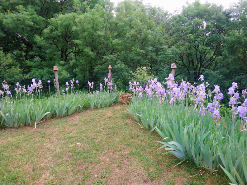 sale Maison Themines - Photo 20