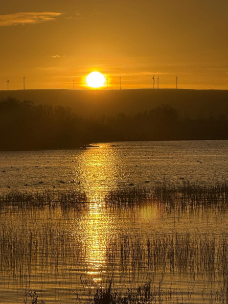 vente Domaine Linaskea - Photo 19