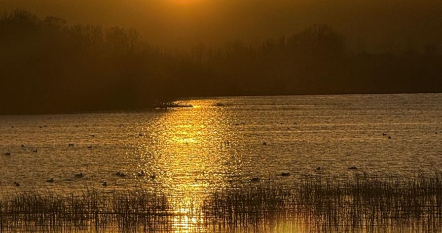 vente Domaine Linaskea