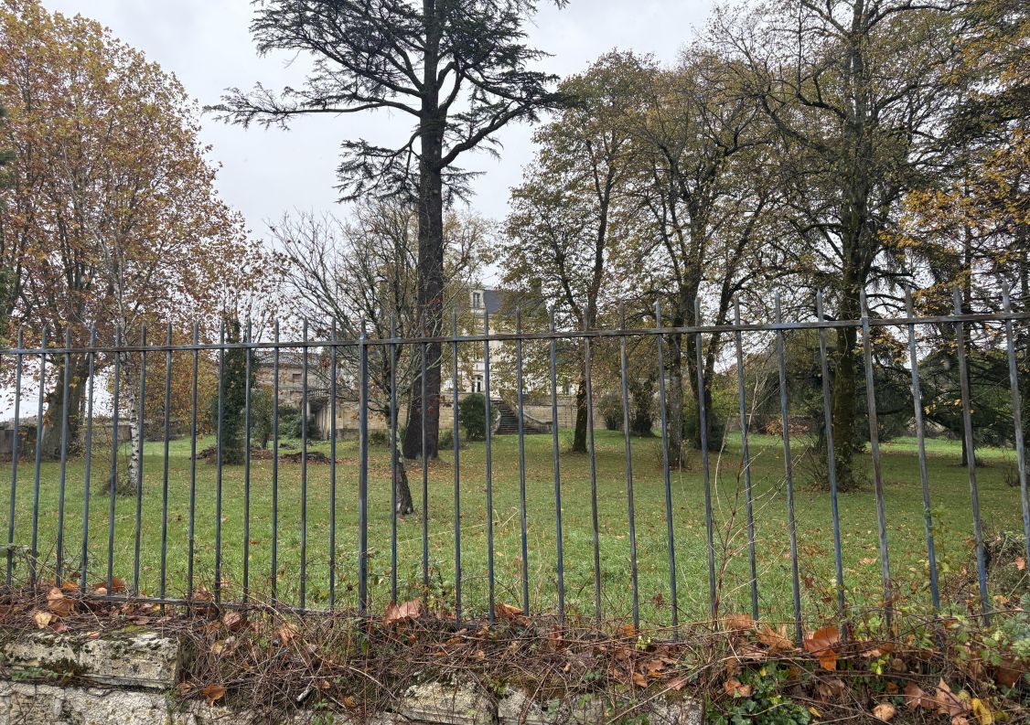 vente Château Montagne