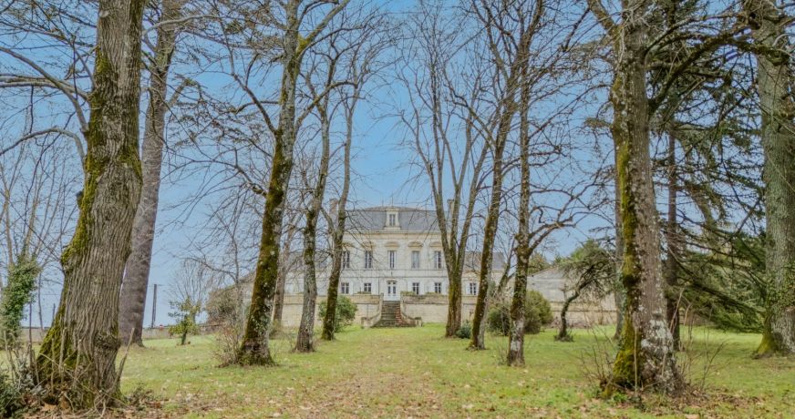 vente Château Montagne