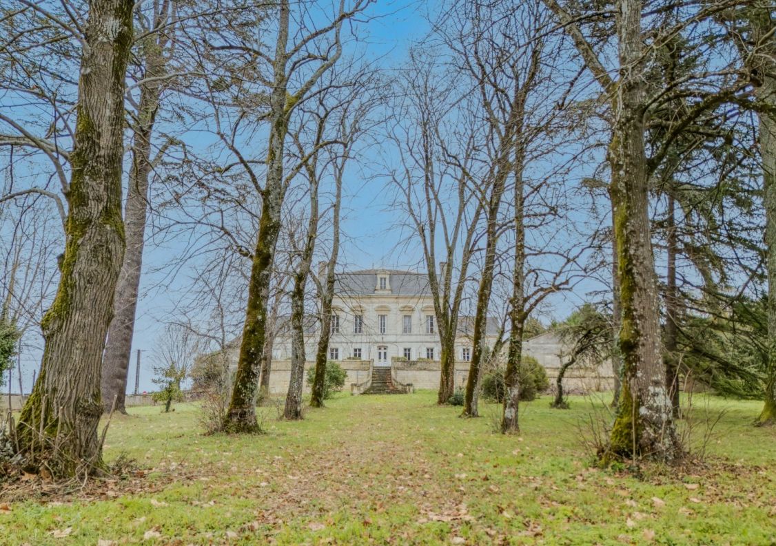 vente Château Montagne