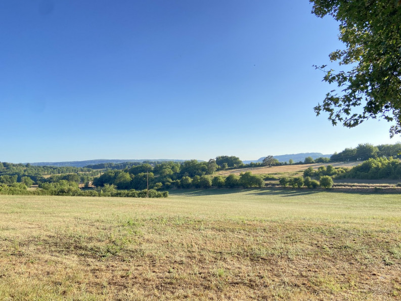sale Maison et dépendances Vegennes - Photo 3