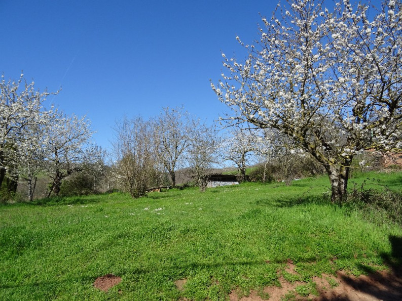 vente Maison de village Viala Du Tarn - Photo 8