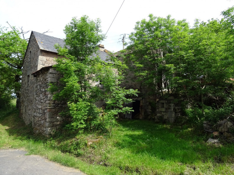 vente Corps de ferme Vezins De Levezou - Photo 1
