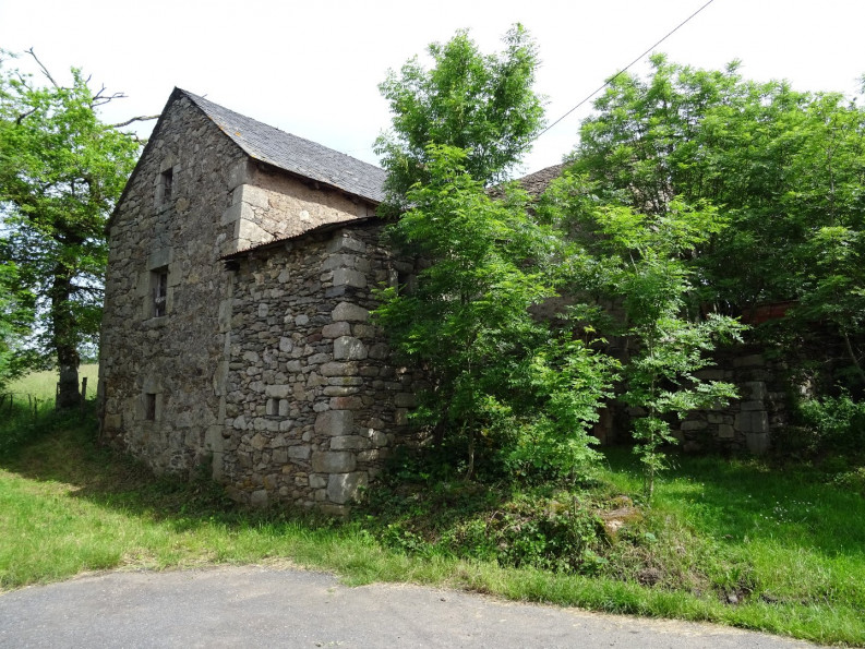 vente Corps de ferme Vezins De Levezou - Photo 2