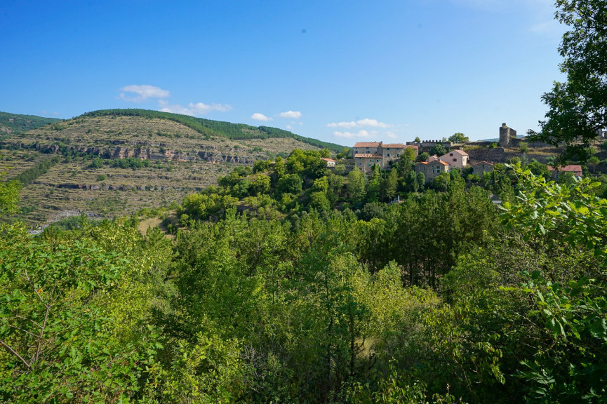vente Maison Saint Rome De Tarn - Photo 12