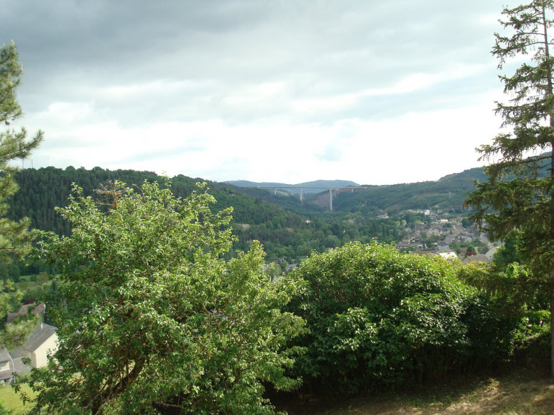 vente Maison individuelle Chirac - Photo 2