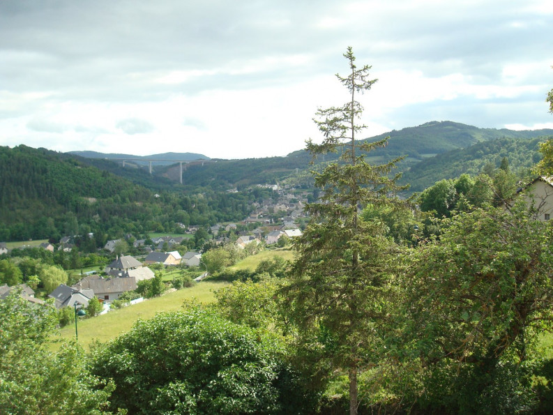 vente Maison individuelle Chirac - Photo 8