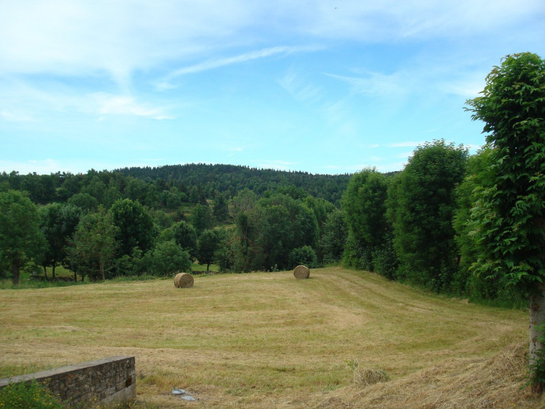 vente Maison en pierre Pierrefiche - Photo 12