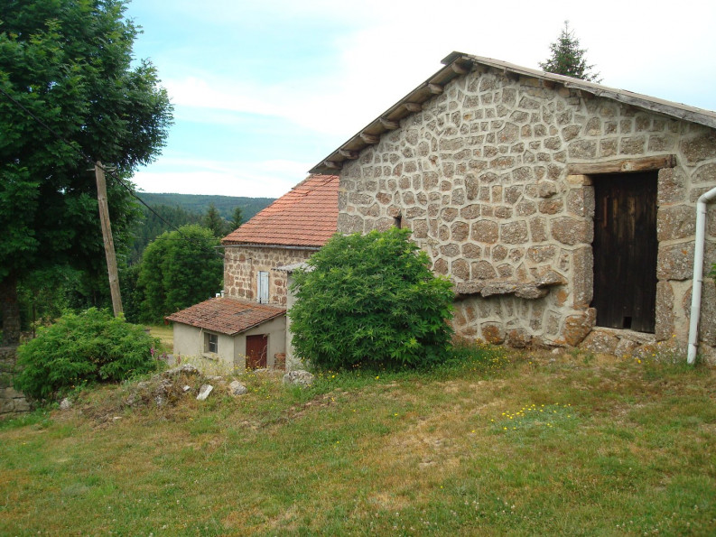 vente Maison en pierre Pierrefiche - Photo 4