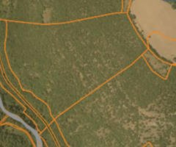 vente Terrain boisé – forêt Verrieres - Photo 4