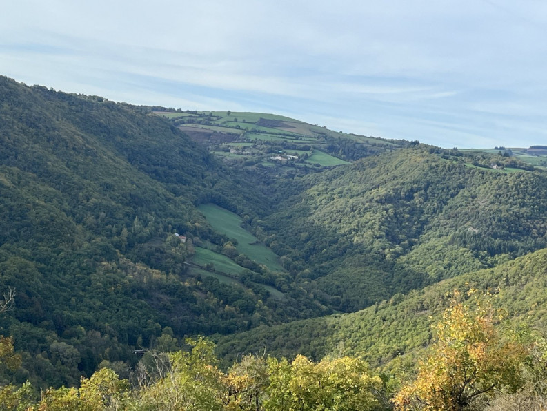 vente Terrain boisé – forêt Verrieres - Photo 1