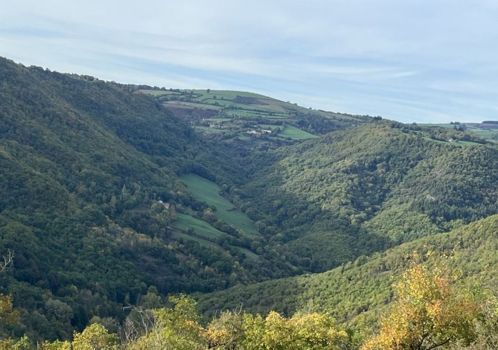 vente Terrain boisé – forêt Verrieres