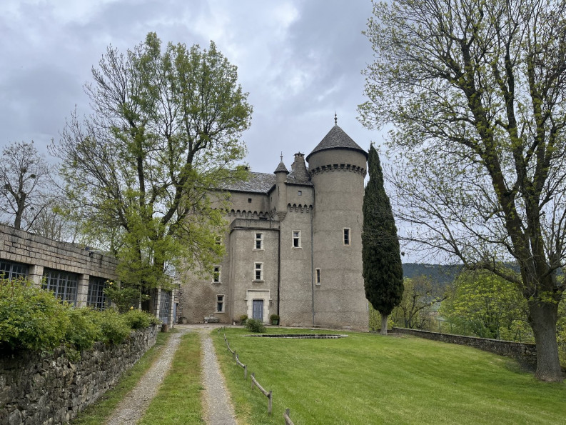 vente Château Riviere Sur Tarn - Photo 2