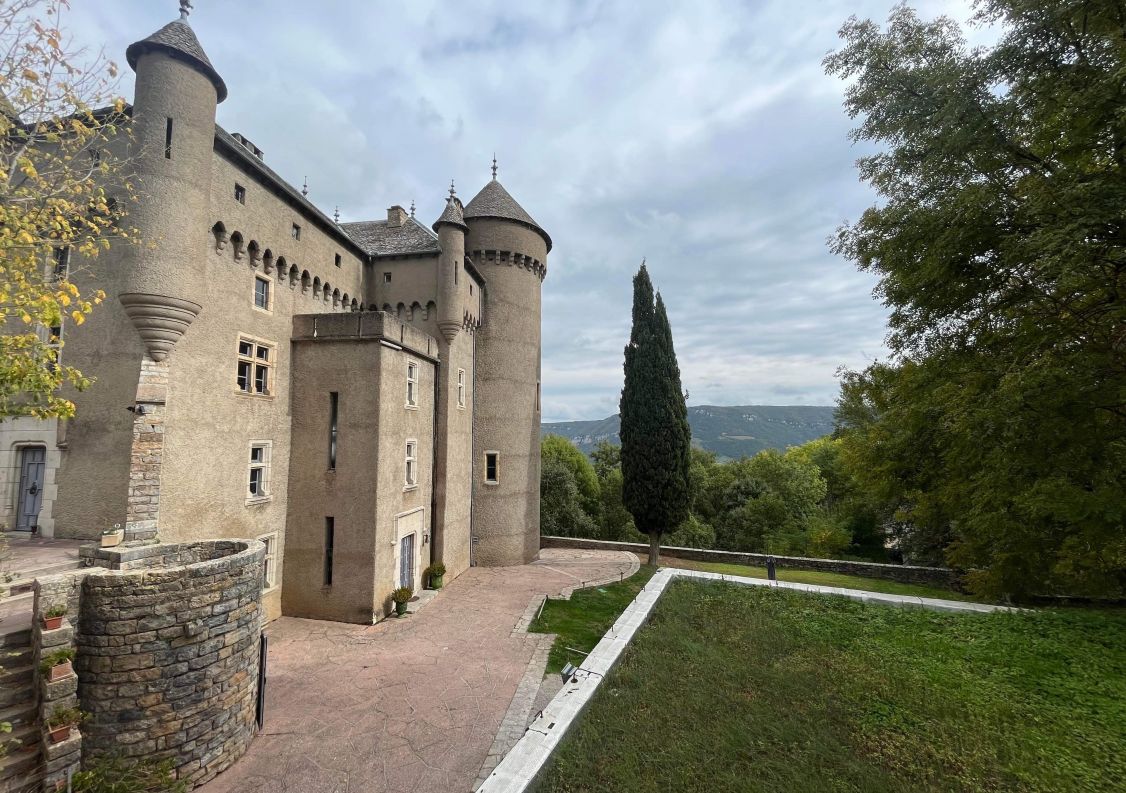 vente Château Riviere Sur Tarn