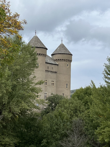 vente Château Riviere Sur Tarn - Photo 6