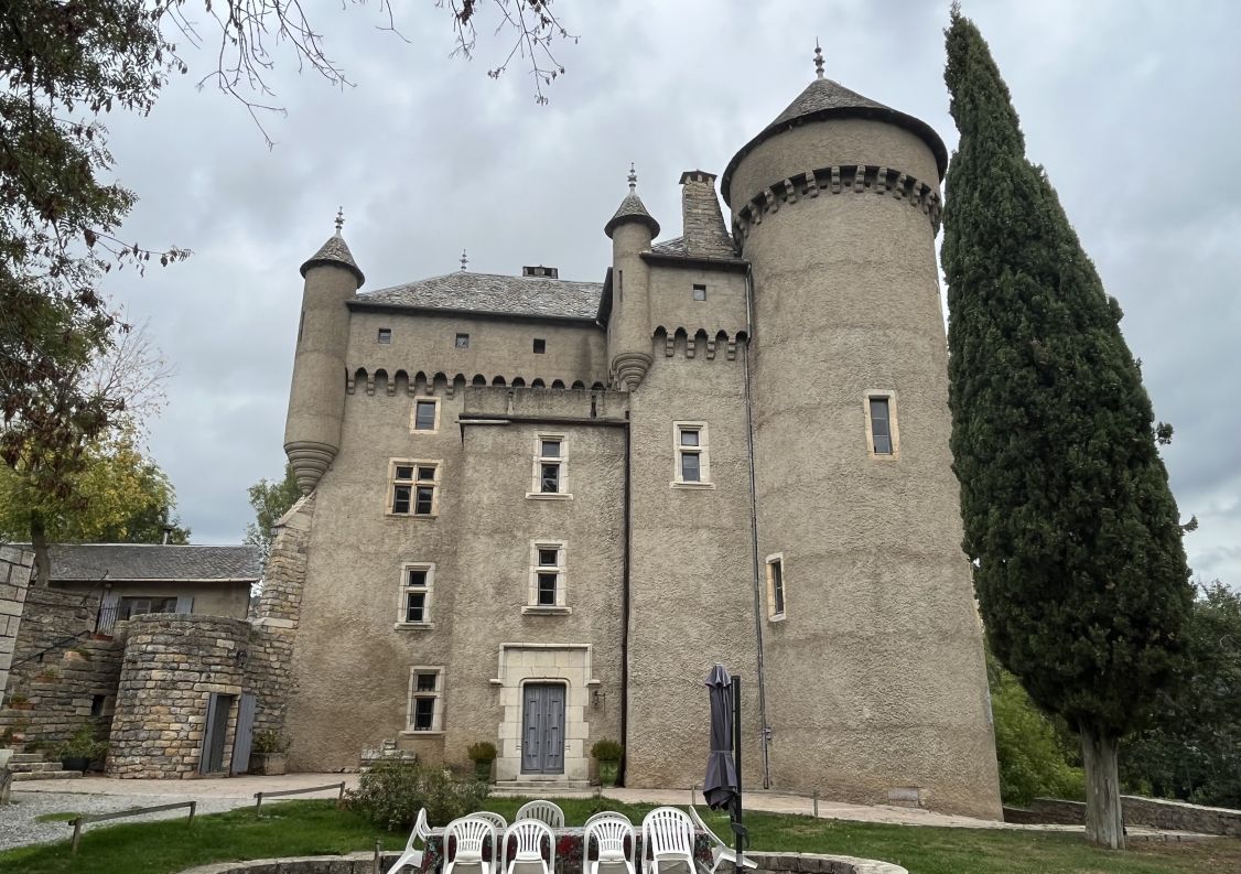 vente Château Riviere Sur Tarn