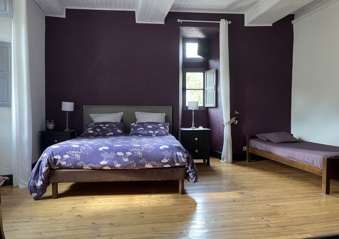 vente Château Riviere Sur Tarn