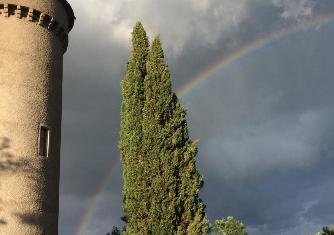 vente Château Riviere Sur Tarn