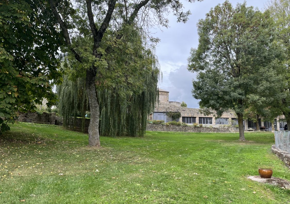 vente Château Riviere Sur Tarn