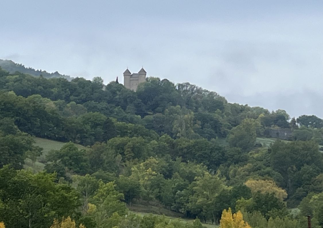 vente Château Riviere Sur Tarn