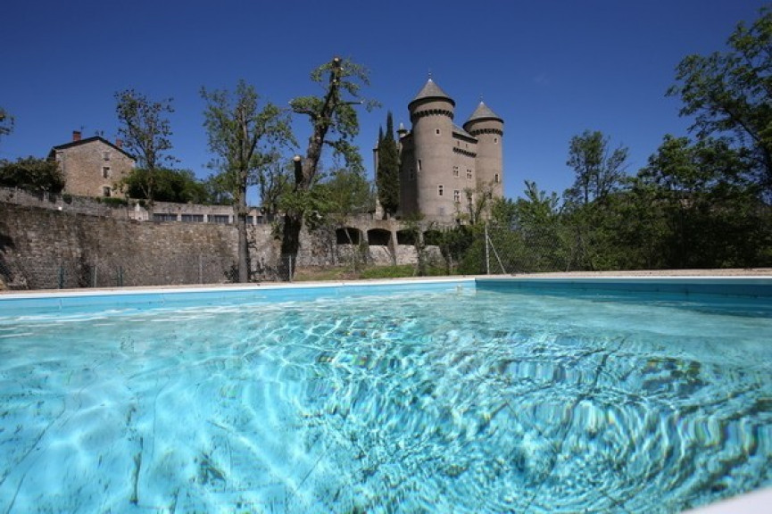 vente Château Riviere Sur Tarn - Photo 1