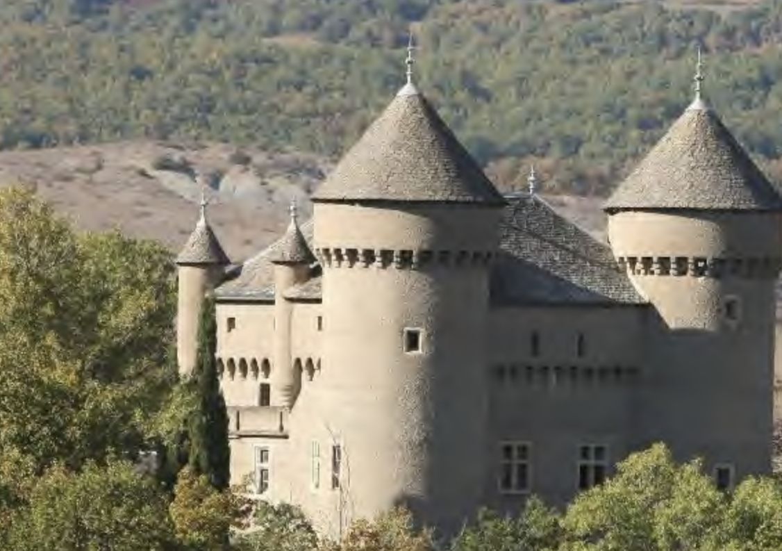 vente Château Riviere Sur Tarn