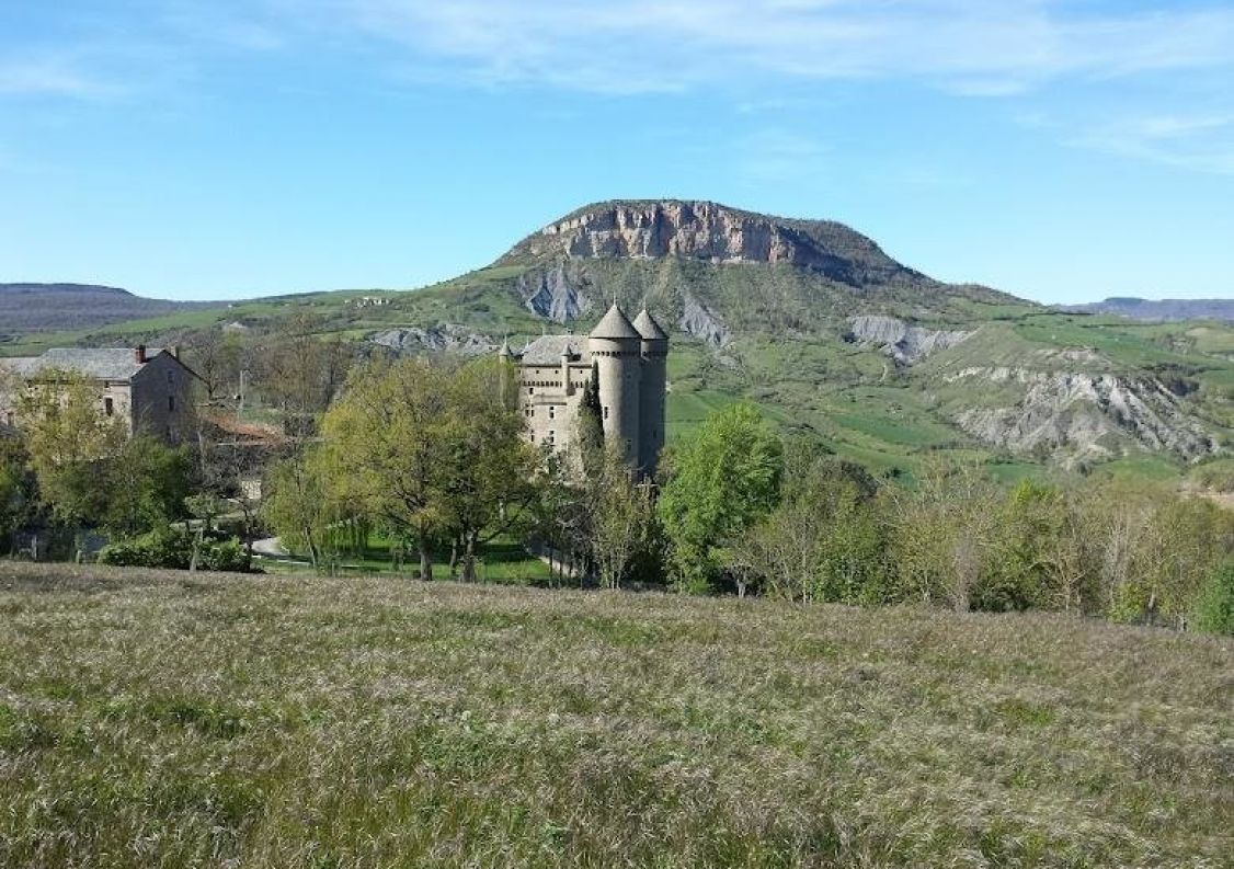 vente Château Riviere Sur Tarn