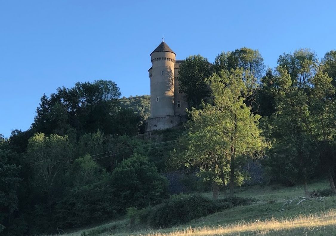 vente Château Riviere Sur Tarn