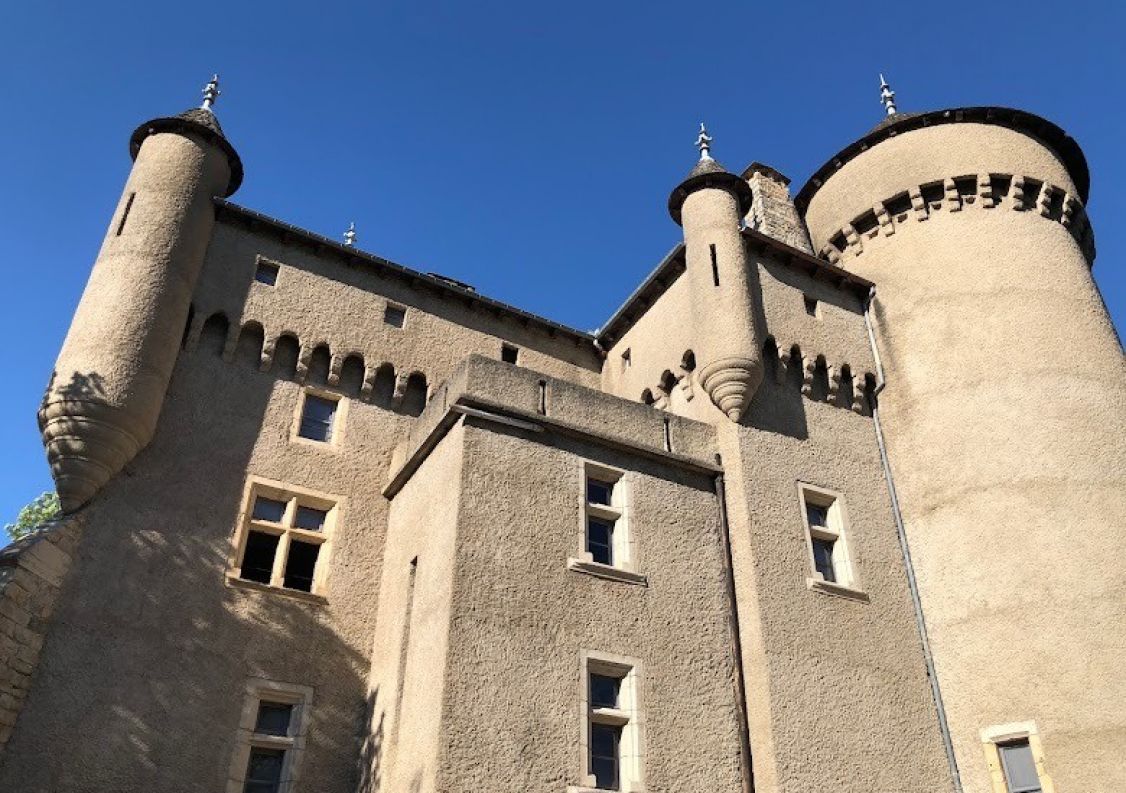 vente Château Riviere Sur Tarn