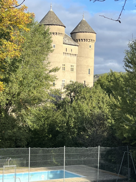 sale Château Riviere Sur Tarn - Photo 15