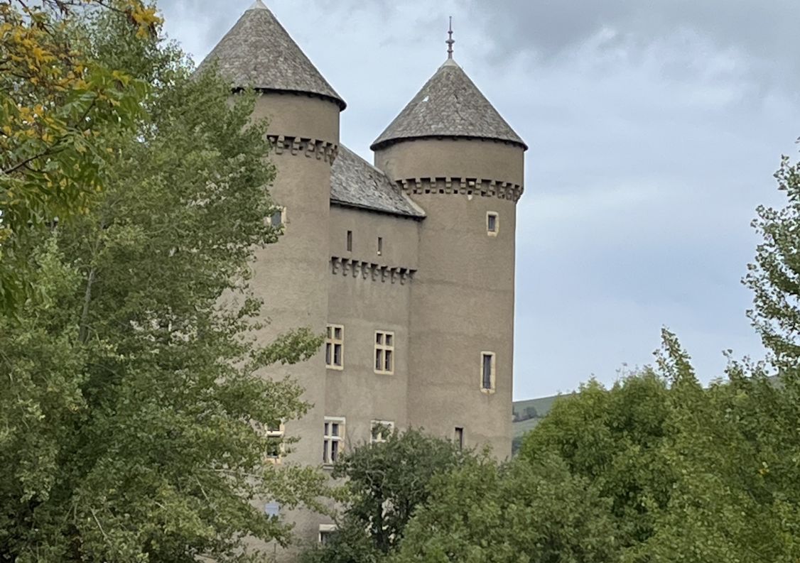 vente Château Riviere Sur Tarn