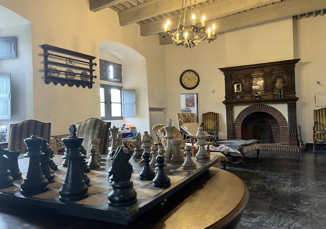 vente Château Riviere Sur Tarn