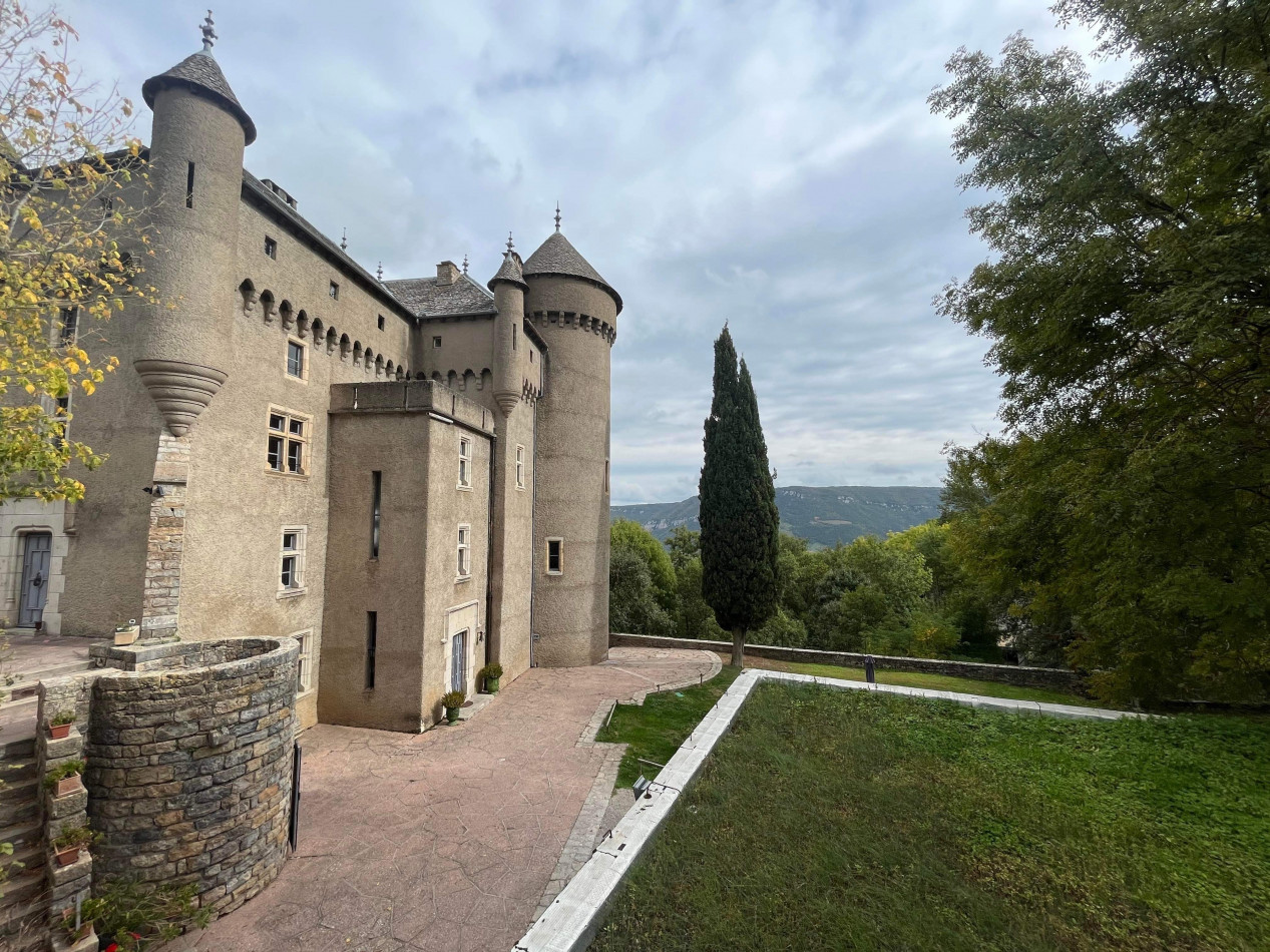 vente Château Riviere Sur Tarn - Photo 3