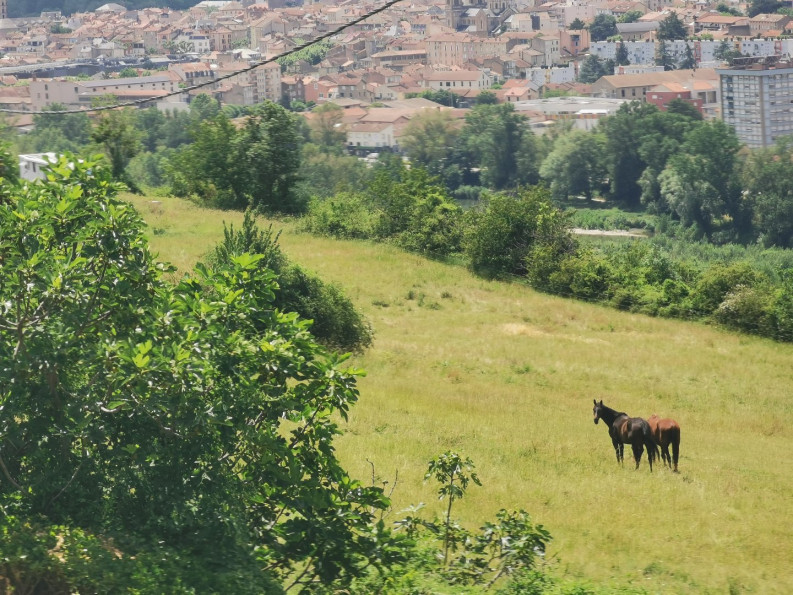 vente Maison Millau - Photo 3