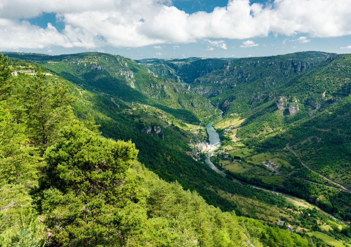 vente Propriété Compeyre